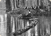 Holztransport auf den Fließen