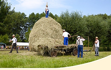 Traditionelles Heuschoberfest in Alt Zauche